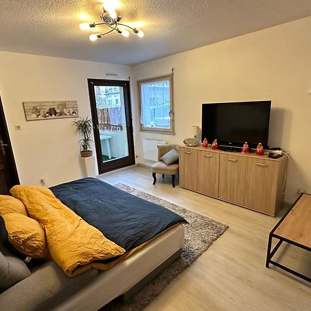 Apartamento Superbe F2 Terrasse, Route Du Vin, Florival Guebwiller Exterior foto