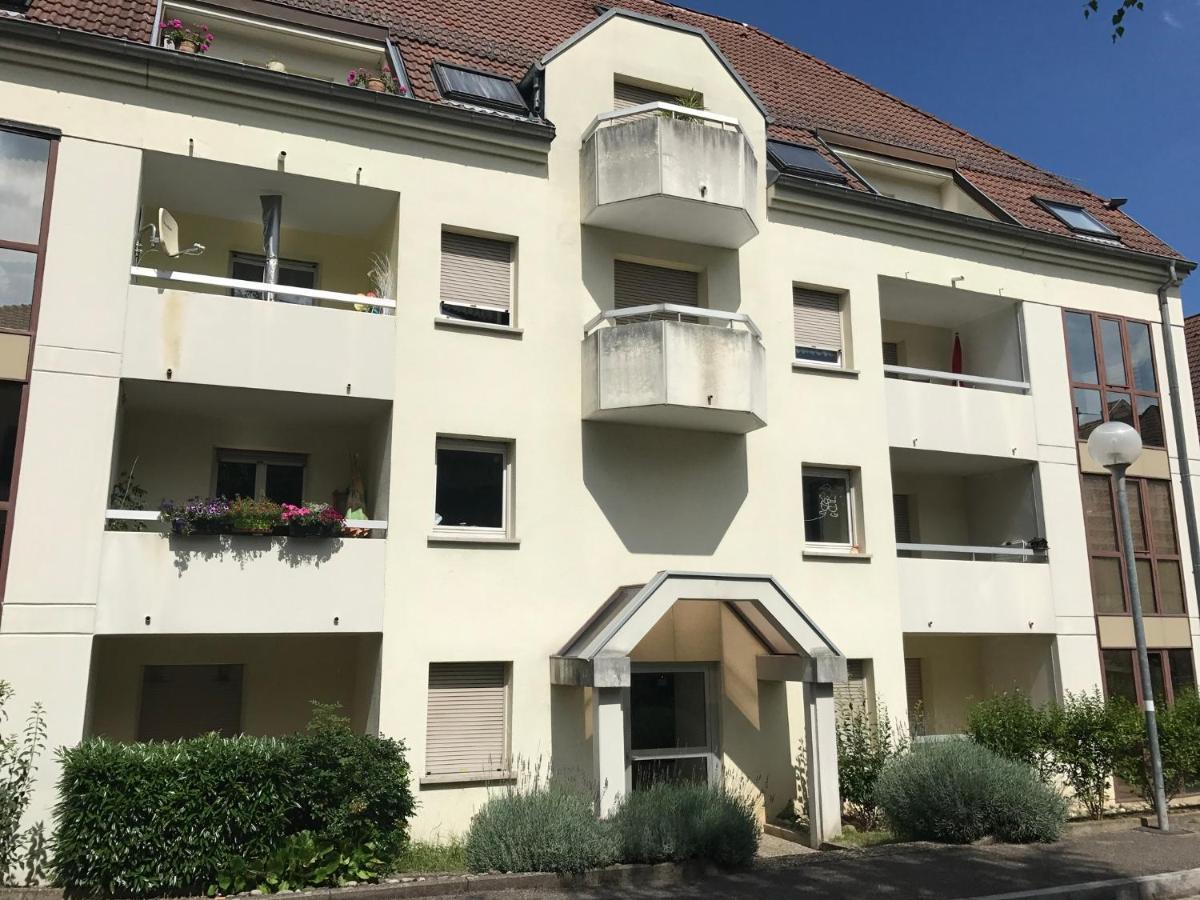Apartamento Superbe F2 Terrasse, Route Du Vin, Florival Guebwiller Exterior foto